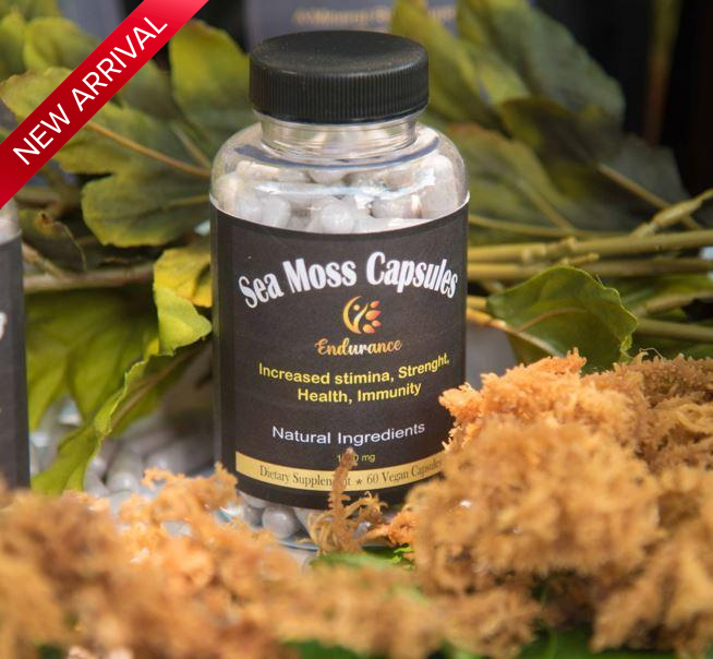 Bottle of Sea Moss Capsules